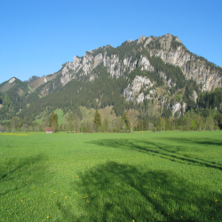 Neuschwanstein  Picture 149.jpg